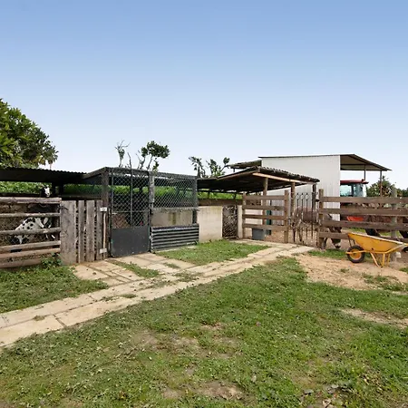 Casa Xarem - Vinhas De Nexe Villa FAO Buitenkant foto