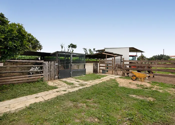 Casa Xarem - Vinhas De Nexe