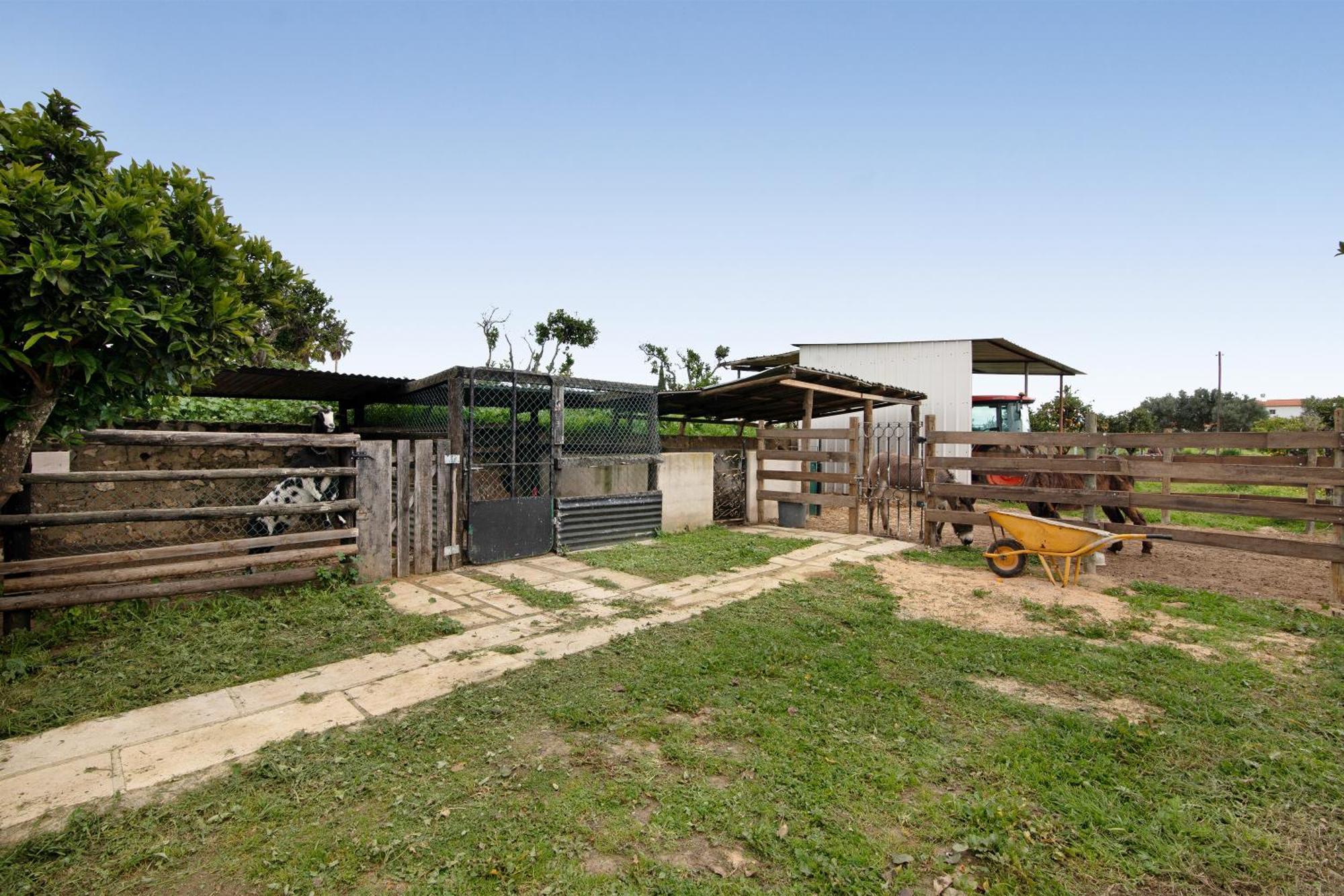 Casa Xarem - Vinhas De Nexe Vakantiehuis