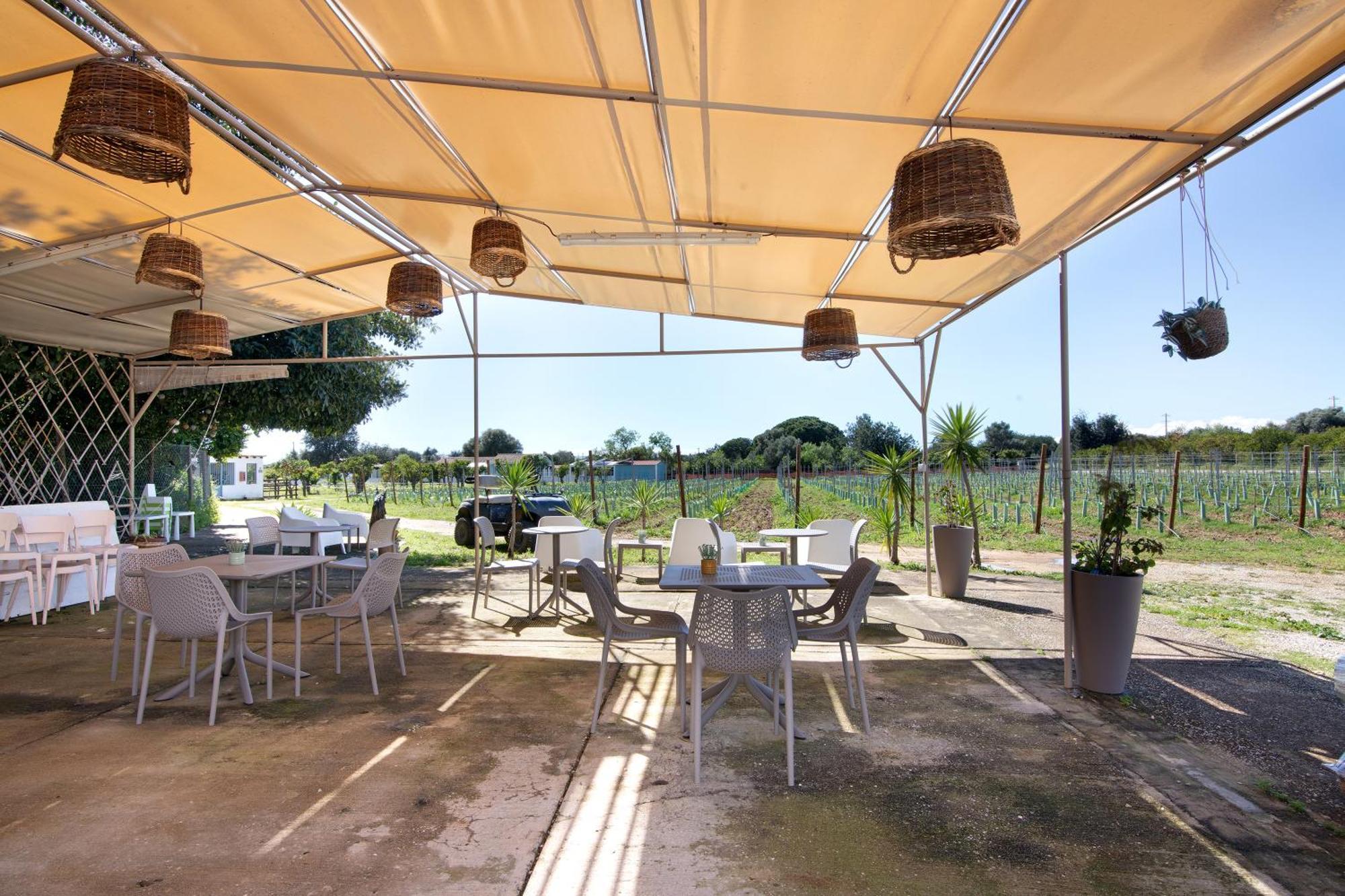 Vakantiehuis Casa Xarem - Vinhas De Nexe *